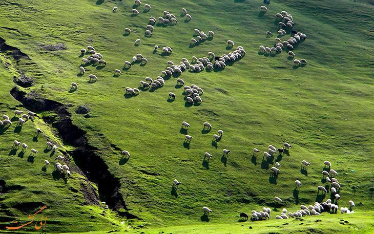 تصاویری باورنکردنی از هنر طبیعت در ایران تصاویری باورنکردنی از هنر طبیعت در ایران
