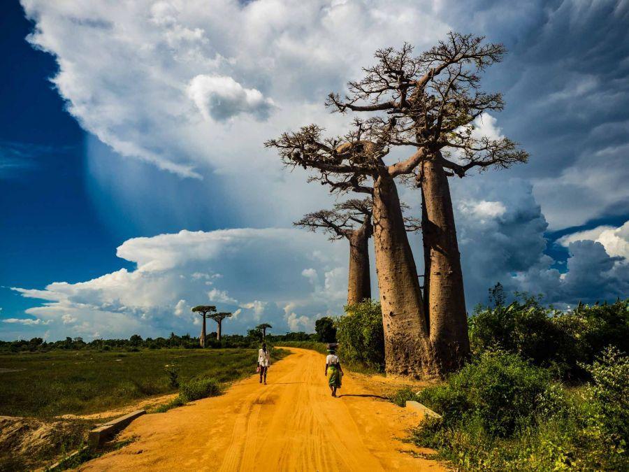 روایت تصویری از چهارمین جزیره زیبای دنیا , جزیره ماداگاسکار
