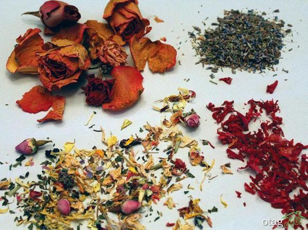 خوشبو کننده طبیعی دستشویی، معرفی 3 روش ساده و کاربردی خوشبو کننده طبیعی دستشویی، معرفی 3 روش ساده و کاربردی