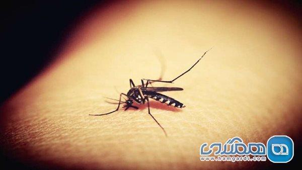 کشف نوعی آنتی بادی مخفی که دشمن مالاریاست