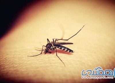 کشف نوعی آنتی بادی مخفی که دشمن مالاریاست