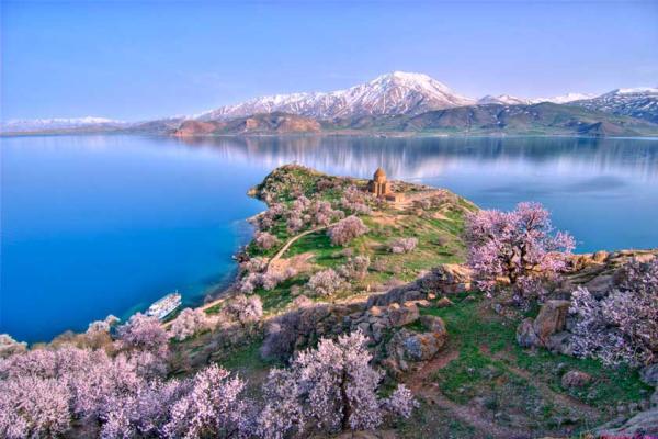 دیدنی های وان؛ شهر گربه های استثنایی دیدنی های وان؛ شهر گربه های استثنایی