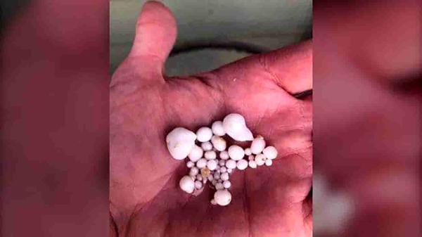 یک غذا زوج خوش شانس را پولدار کرد!