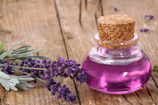 علائم و عوارض کمبود گلبول سفید علائم و عوارض کمبود گلبول سفید
