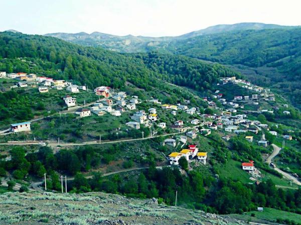 آشنایی با جنگل کمرپشت و سفر به سرزمین ابرها آشنایی با جنگل کمرپشت و سفر به سرزمین ابرها
